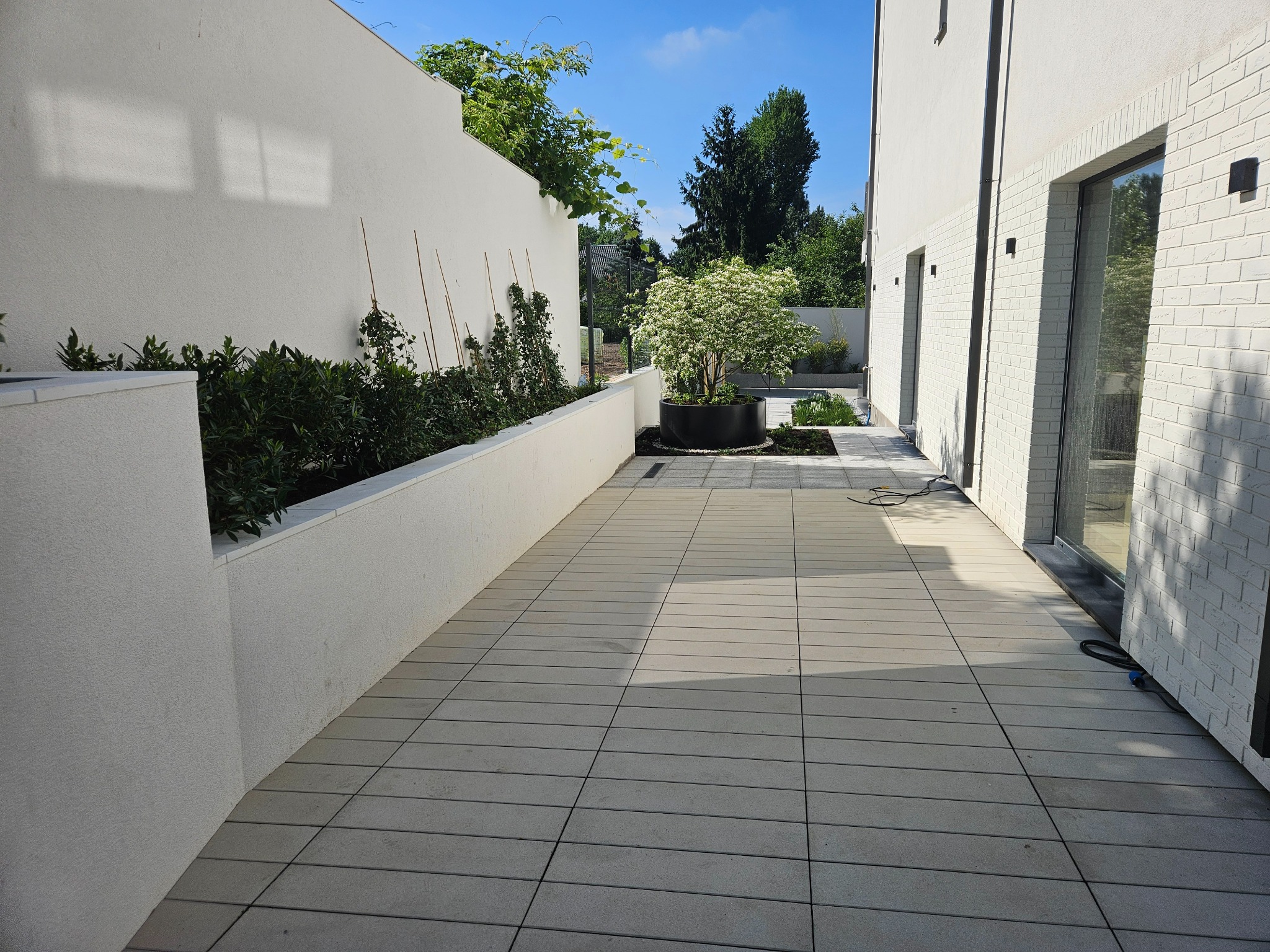 Nowoczesny taras z jasnoszarej kostki brukowej, otoczony białymi ścianami i zielenią. Minimalistyczny design z drzewkiem w donicy i widokiem na ogród.