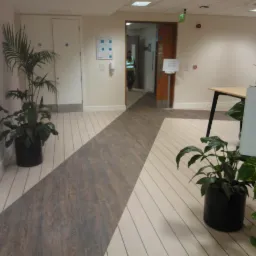 Wnętrze biurowe z podłogą w jasne pasy i ciemniejszym pasem na środku. Po bokach rośliny doniczkowe, w tle widoczne drzwi i osoba w kamizelce odblaskowej.