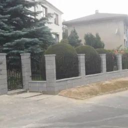 Nowoczesne ogrodzenie z metalowymi przęsłami i betonowymi słupkami, widok z ulicy, za ogrodzeniem formowane krzewy i drzewa iglaste.