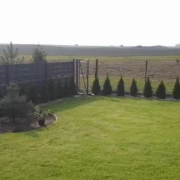 Nowoczesne ogrodzenie panelowe z bramą, obsadzone tujami i drzewkami iglastymi. Zadbany trawnik na pierwszym planie, pole w tle.