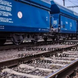 Długi, niebieski pociąg towarowy na torach kolejowych, widziany z niskiej perspektywy. Tło stanowią błękitne niebo i słupy trakcji elektrycznej.