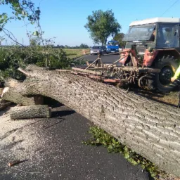 Powalone drzewo na asfaltowej drodze po wycince, obok stoi czerwony traktor z podpiętą maszyną rolniczą, a pracownik w żółtej kamizelce nadzoruje prace.