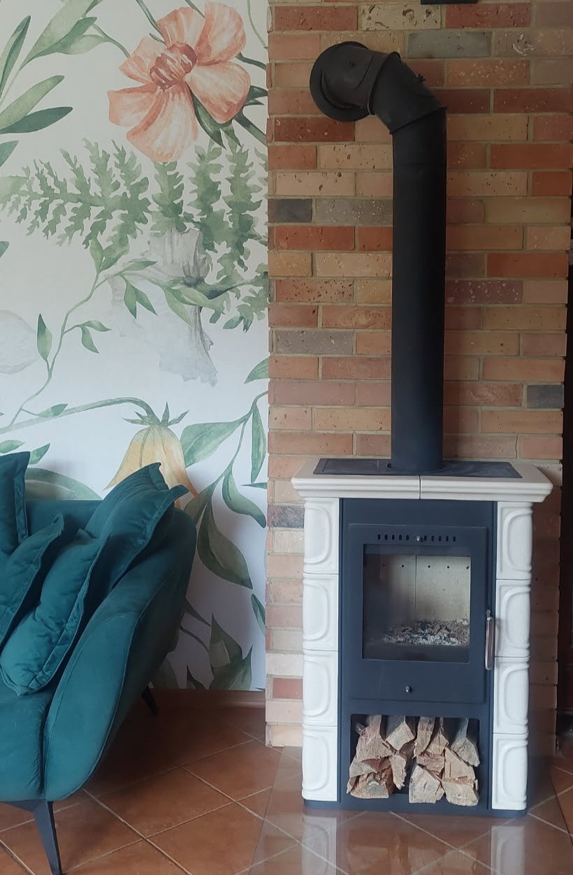 Piecyk na drewno eco Thorma Borgholm