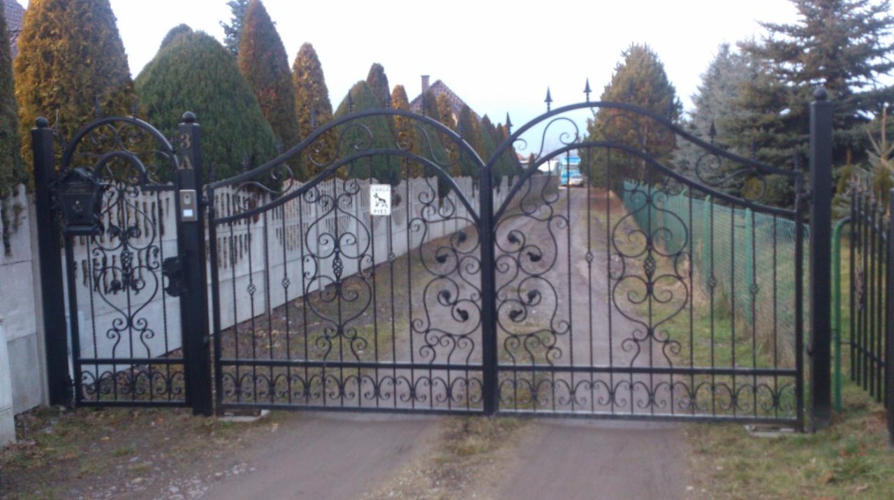 Czarna, ozdobna, metalowa brama wjazdowa z furtką, z widoczną skrzynką na listy i domofonem. W tle wysokie tuje i fragment domu.