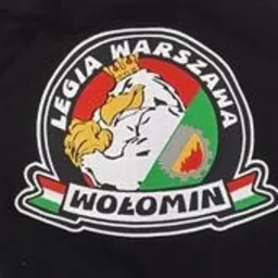 Bluzy dla Kibiców LEGI