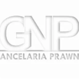 Logo Kancelarii Prawnej GNP na białym tle z efektem cienia, prezentujące nazwę i profil działalności firmy.