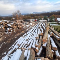 Wycinka drzew Raciechowice 1