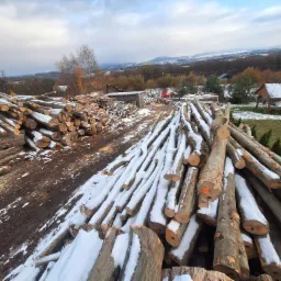 Stosy pni drzew okryte śniegiem, widoczne pomarańczowe oznaczenia na końcach, w tle krajobraz zalesionych wzgórz i częściowo ośnieżone budynki, pochmurne niebo.