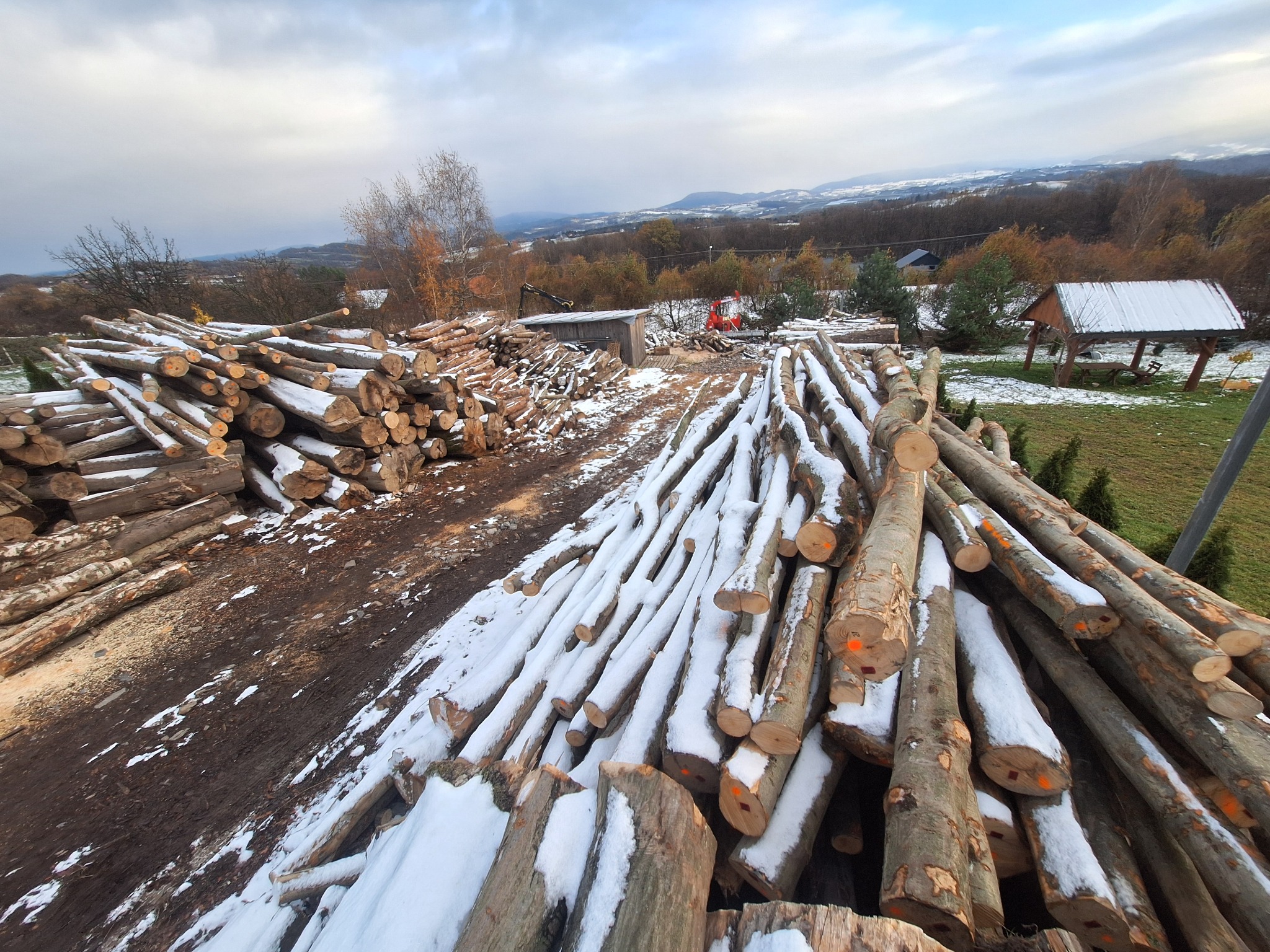Stosy pni drzew okryte śniegiem, widoczne pomarańczowe oznaczenia na końcach, w tle krajobraz zalesionych wzgórz i częściowo ośnieżone budynki, pochmurne niebo.