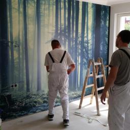 Projekt RS - Dwóch malarzy w kombinezonach roboczych montuje fototapetę z motywem leśnym na ścianie w jasnym pomieszczeniu, widoczna drabina i wiadro z farbą.