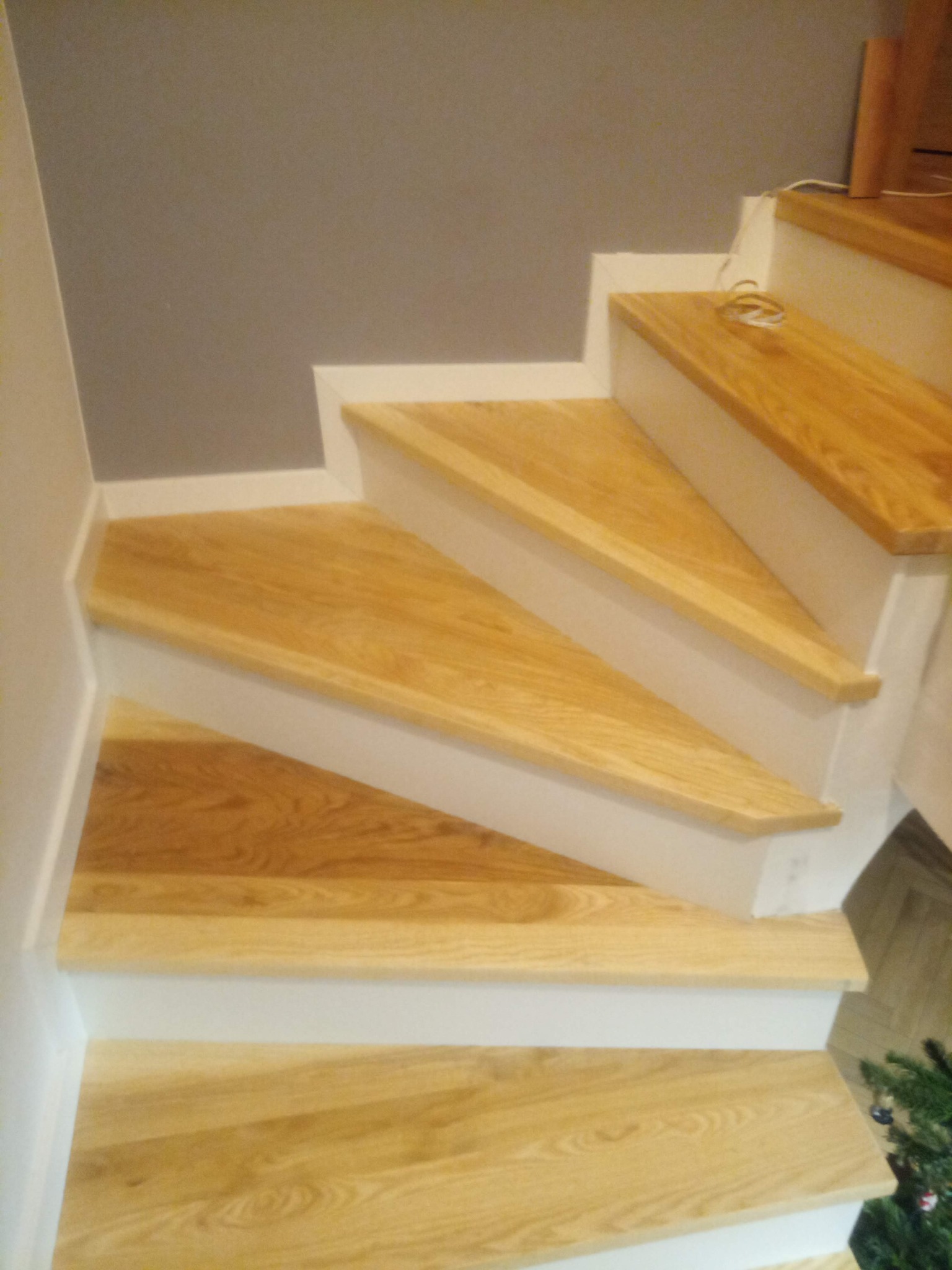 Jasne, drewniane schody z białymi podstopnicami, widok z góry, fragment choinki w rogu.