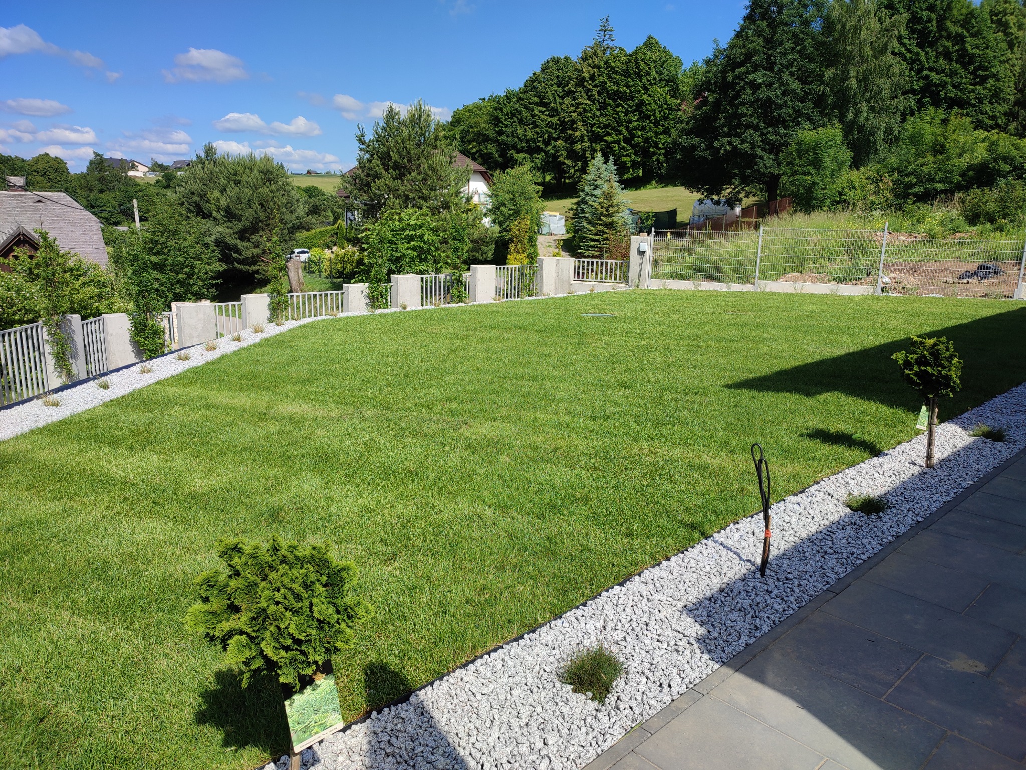 Zadbany trawnik z rolki, obrzeża wysypane białym kamieniem, w tle ogrodzenie i zabudowa jednorodzinna na wzgórzu.