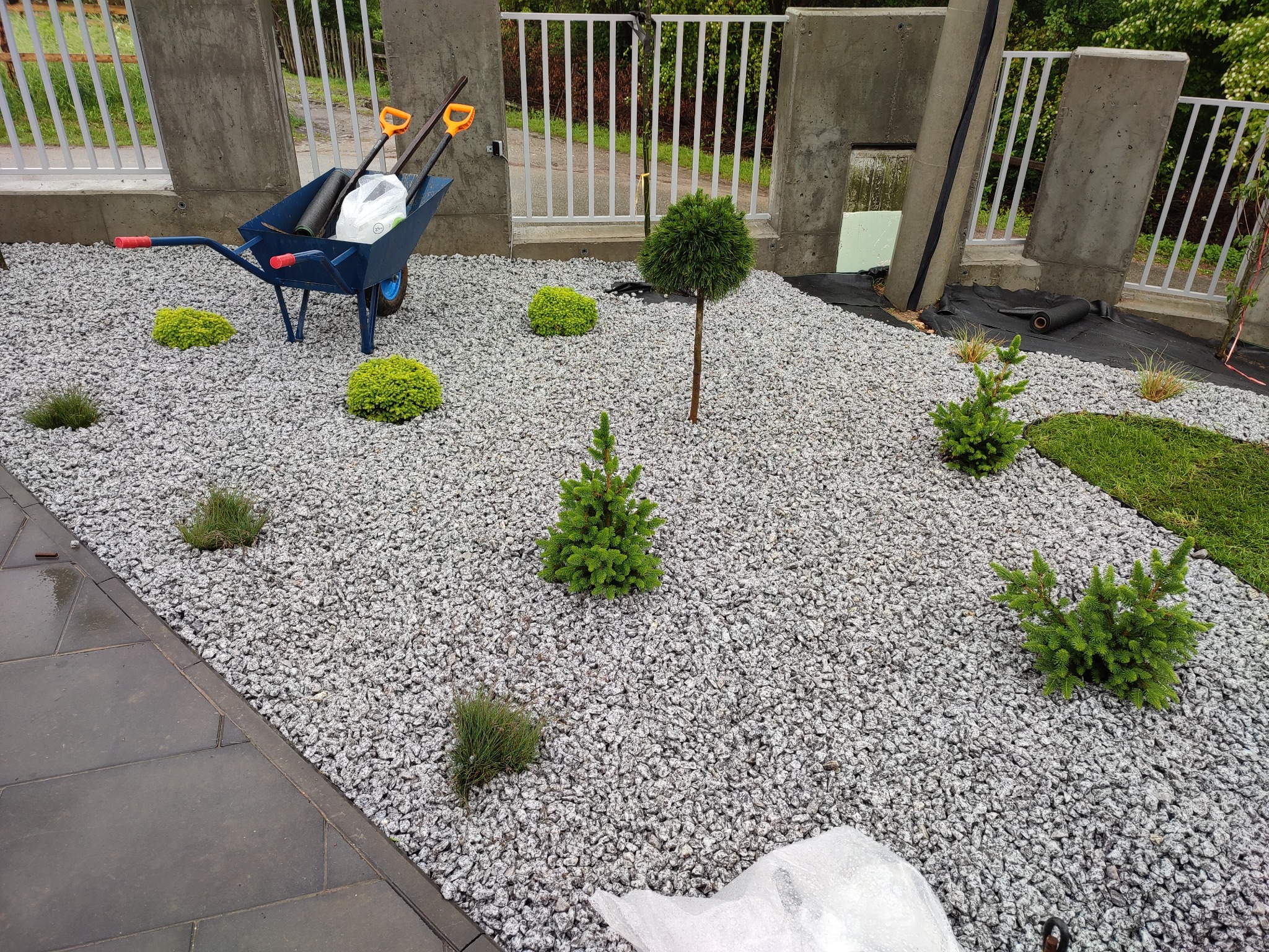 Nowo założony ogród z szarym żwirem, małymi krzewami i drzewkami iglastymi, widoczny wózek z narzędziami i workiem, tło z betonowym ogrodzeniem i białymi przęsłami.