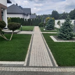 Ogród nowoczesny, trawnik z rolki, ogród w liniach prostych. 