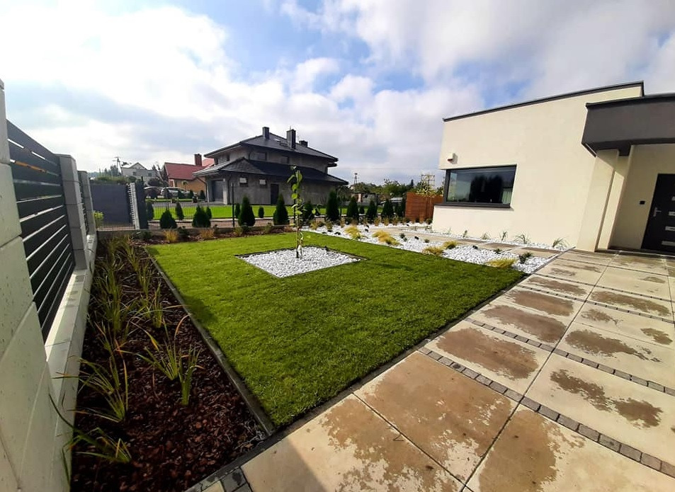 Starannie utrzymany trawnik z młodym drzewkiem otoczonym białym żwirem, obrzeża z kory i roślin, nowoczesny dom w tle, widok z poziomu chodnika.