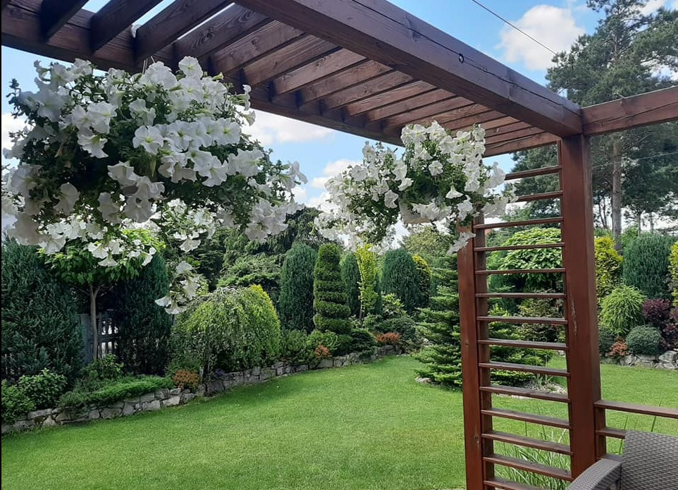 Pergola z drewnianą konstrukcją i wiszącymi donicami z białymi kwiatami, w tle zadbany trawnik i różnorodne krzewy.