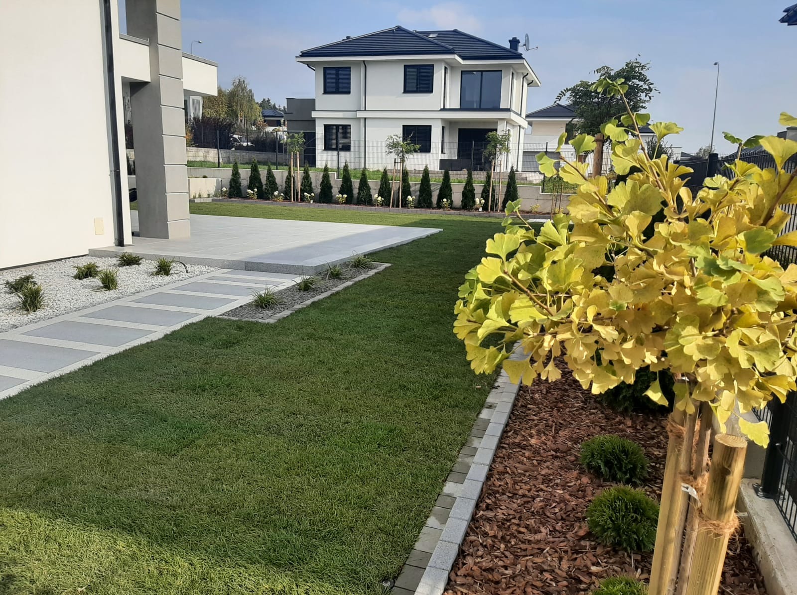 Trawnik z rolki jesienią.