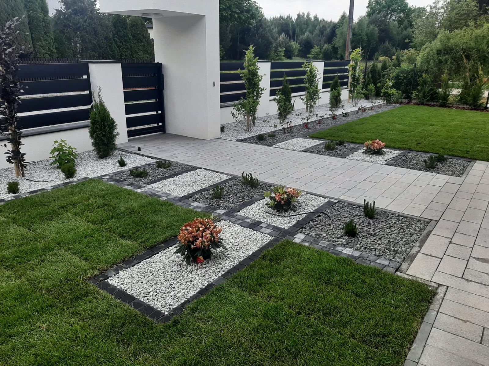 Ogród w liniach prostych, trawnik z rolki.