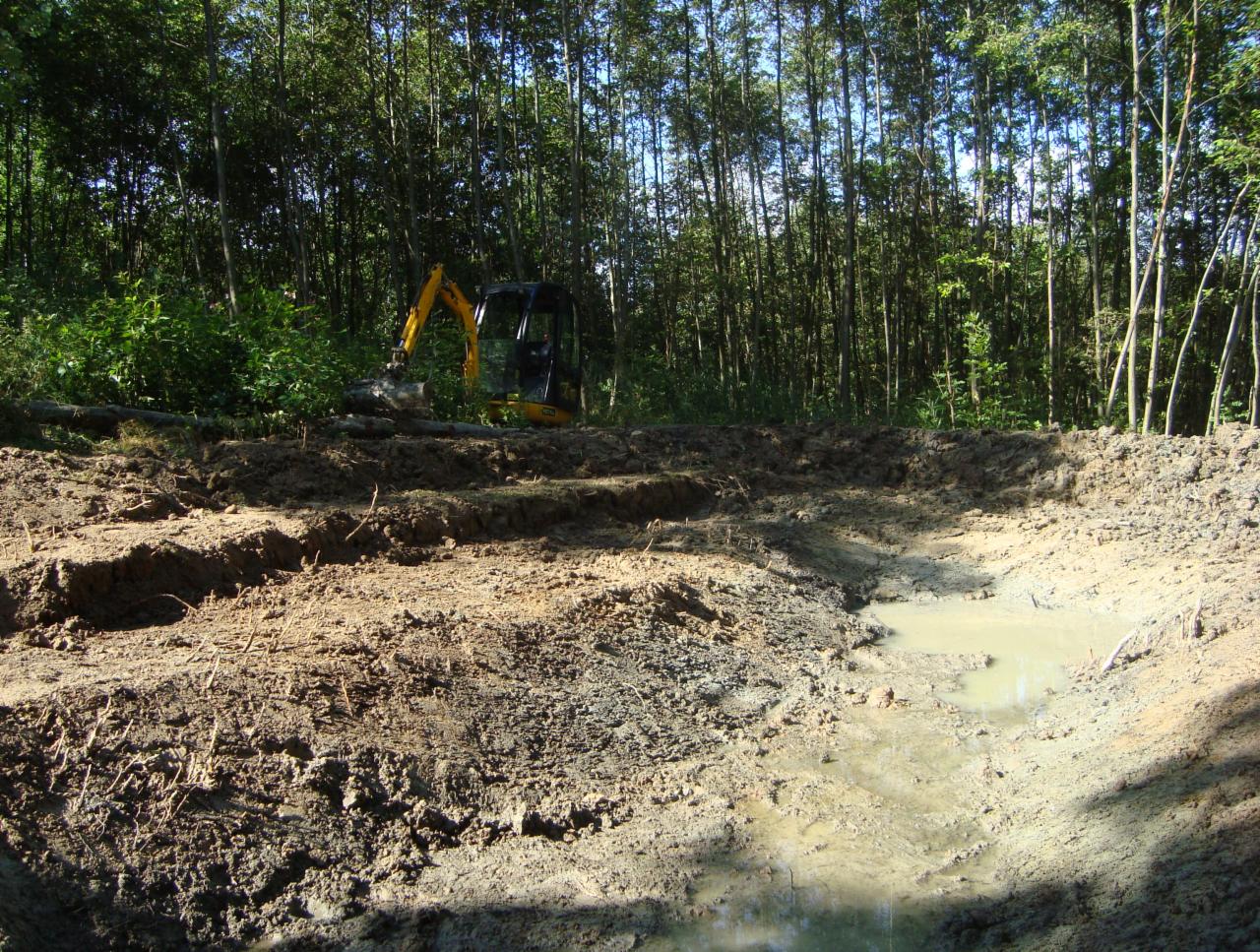 Żółta mini koparka przy wykopanym, częściowo zalanym wodą stawie na tle gęstego lasu.