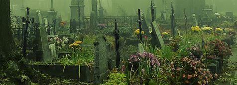 Zarośnięty, zaniedbany cmentarz z nagrobkami porośniętymi mchem i kwiatami, w mglistej, zielonkawej scenerii.