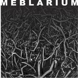 Meblarium - Przygotowanie Nieruchomości Do Sprzedaży Warszawa