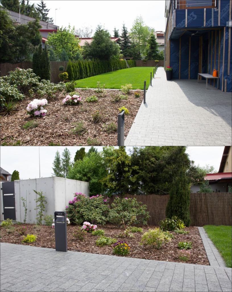 Dwa ujęcia ogrodu z rabatami wysypanymi korą, kwitnącymi różanecznikami i trawnikiem, połączone brukowanym chodnikiem z nowoczesnym budynkiem w tle.