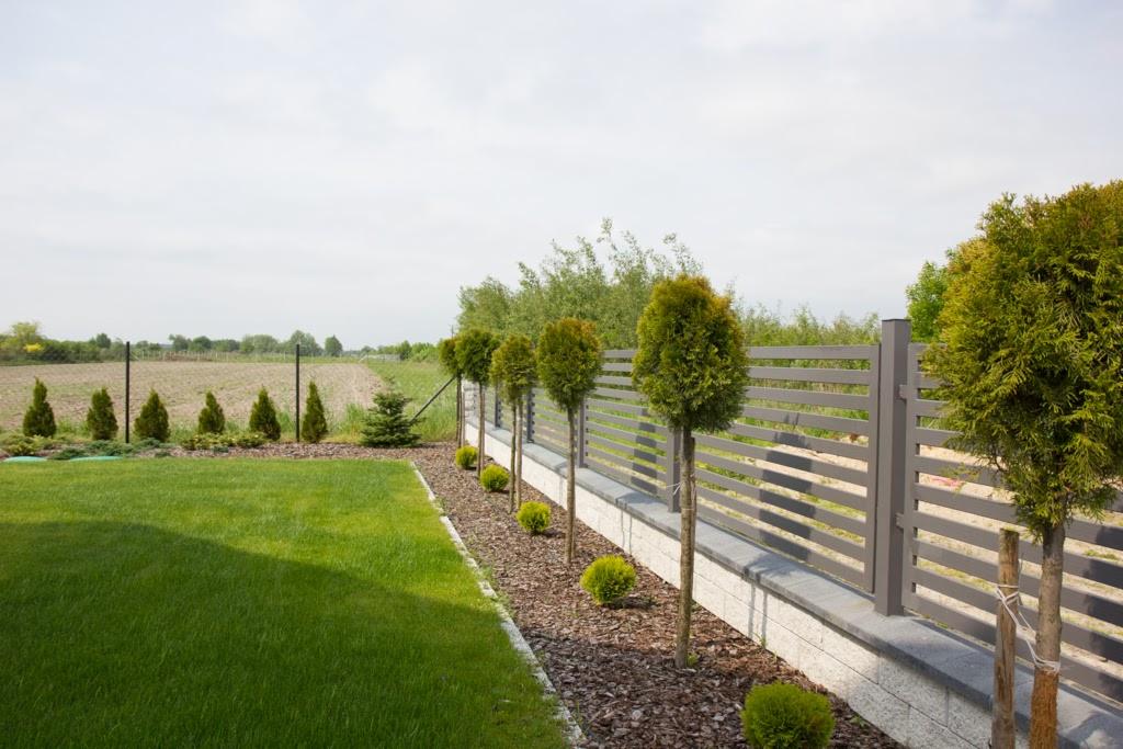 Szary, poziomy płot lamelowy z betonową podmurówką, obok równo przycięte tuje kuliste i stożkowe, trawnik oraz widok na pole w tle.