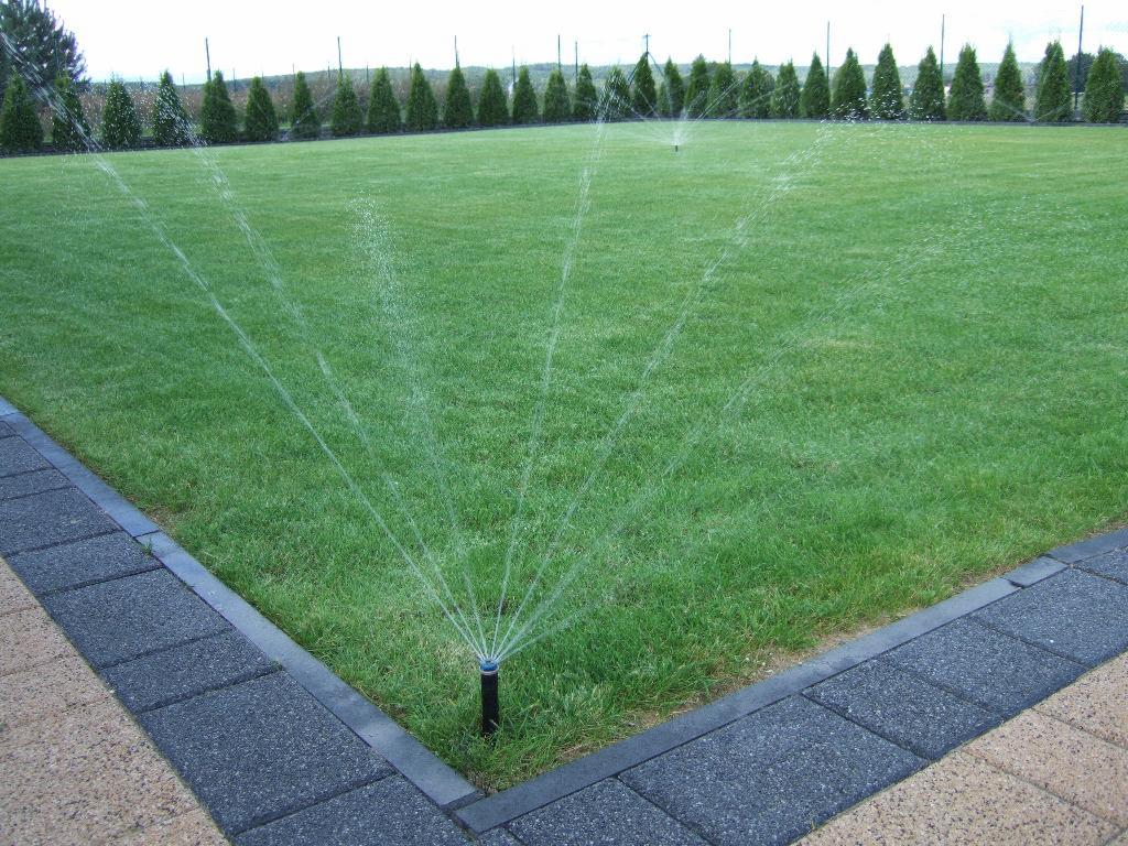 Automatyczny system nawadniania trawnika z dyszą rozpylającą wodę, obrzeża z kostki brukowej i rząd iglaków w tle.