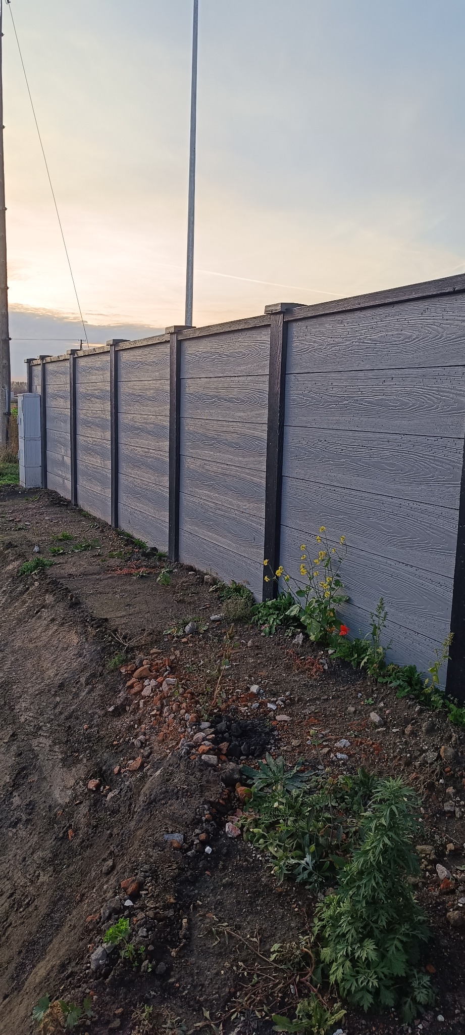 Szary, panelowy płot z elementami imitującymi drewno, w tle słup oświetleniowy i zachodzące słońce. Na pierwszym planie ziemia z roślinnością.