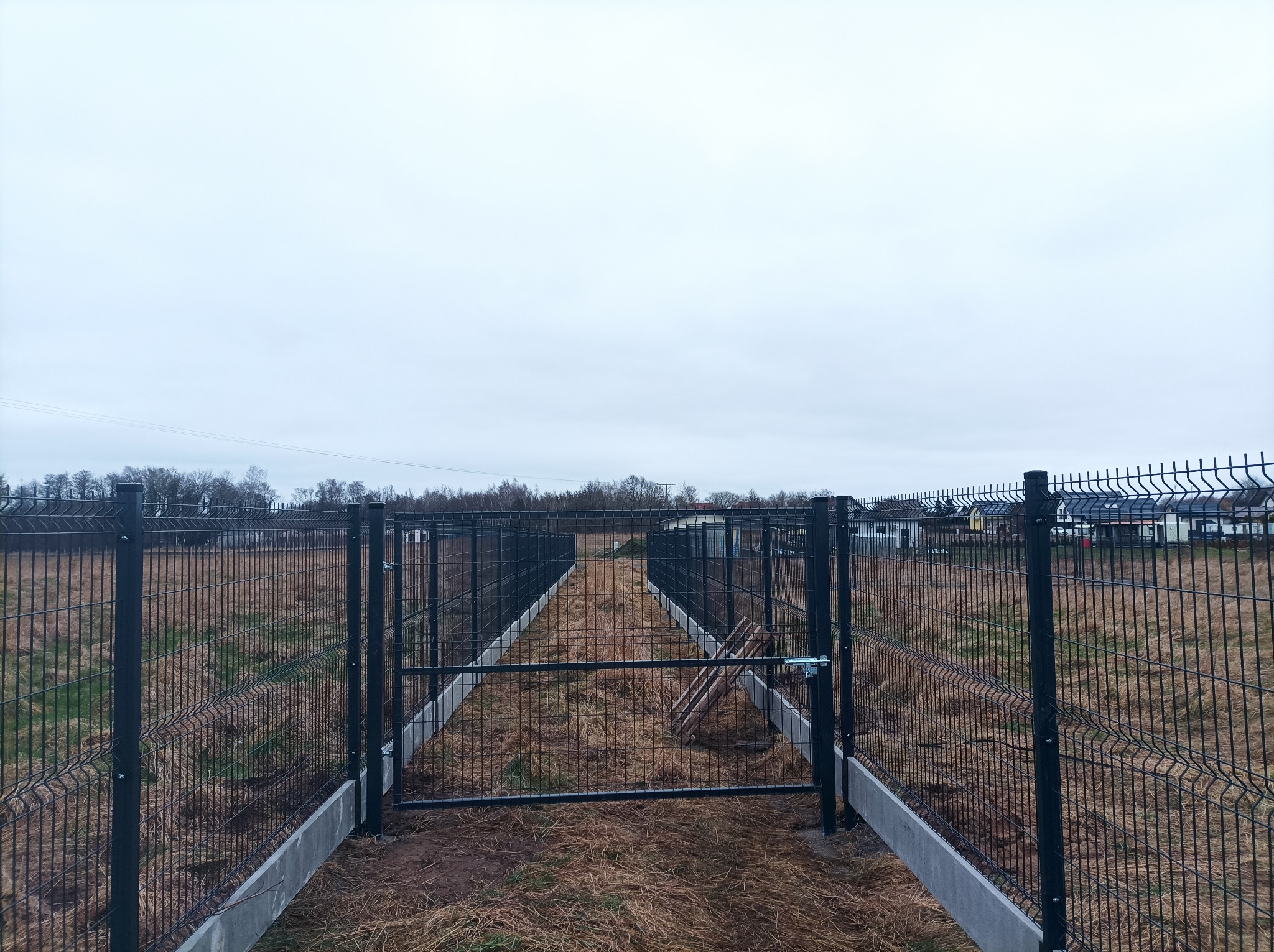 Czarna brama z metalowej siatki panelowej, zamontowana pomiędzy betonowymi podmurówkami, prowadząca przez zarośnięty teren w kierunku zabudowań mieszkalnych w oddali, pochmurne niebo.