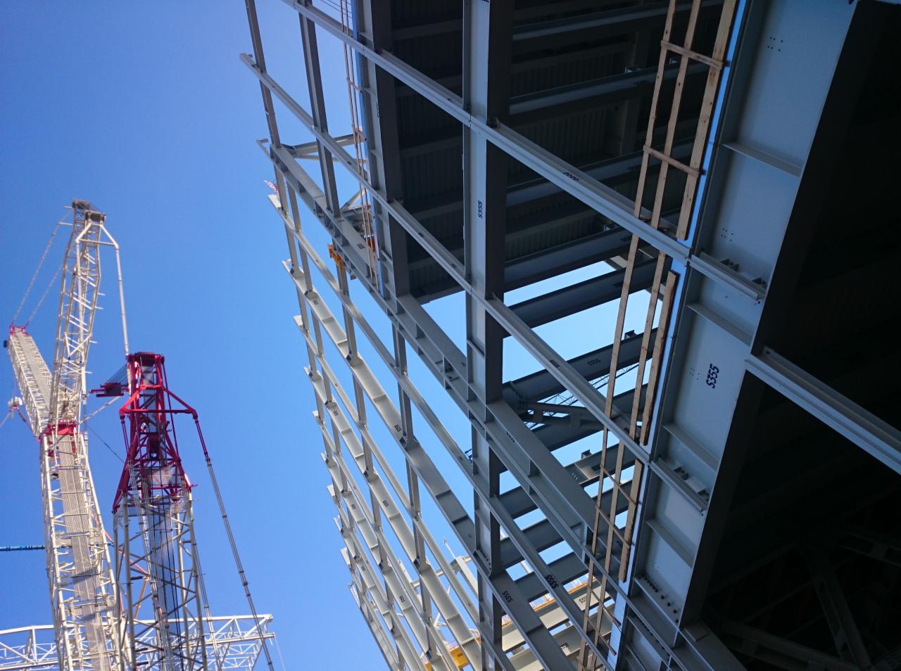 Elektrownia Kozienice