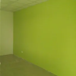 Pomieszczenie po malowaniu na jaskrawy zielony kolor, z widocznymi płytkami podłogowymi i sufitem kasetonowym.