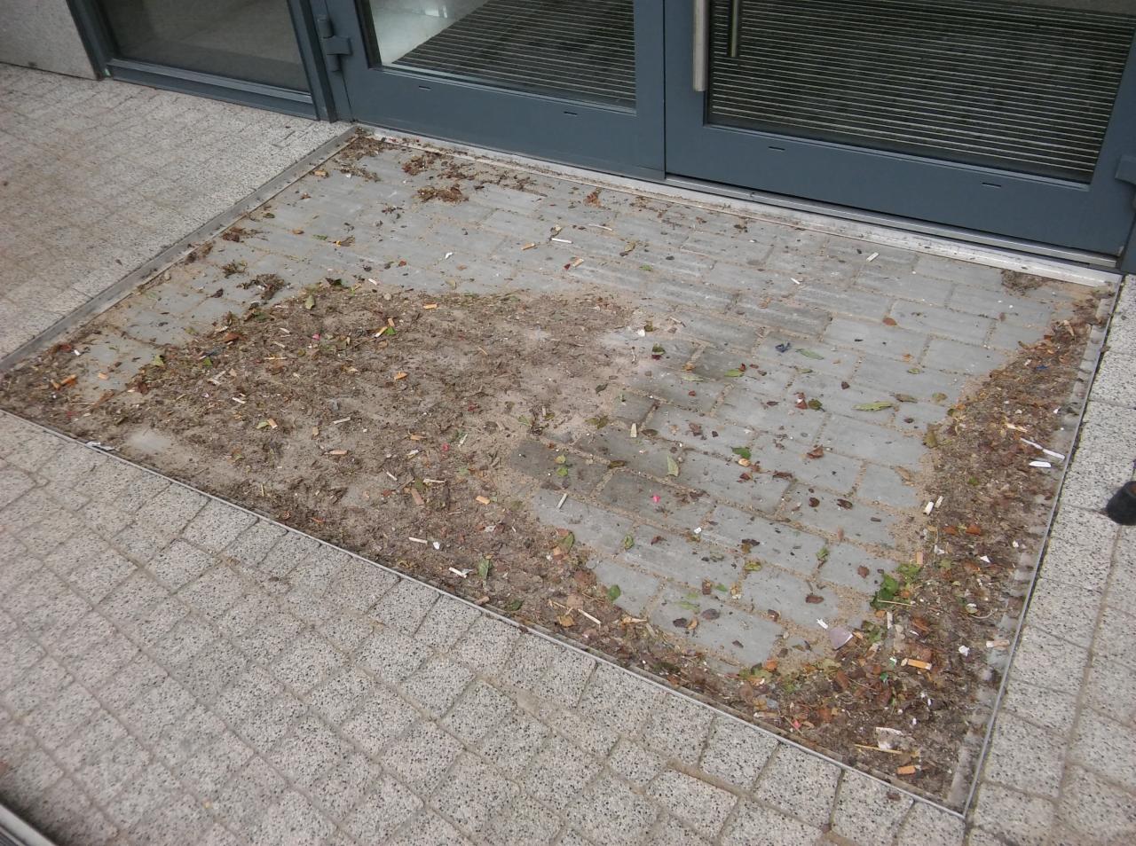 Zanieczyszczone wejście do budynku z widocznymi niedopałkami papierosów, liśćmi i błotem na szarych płytach chodnikowych przed szklanymi drzwiami.