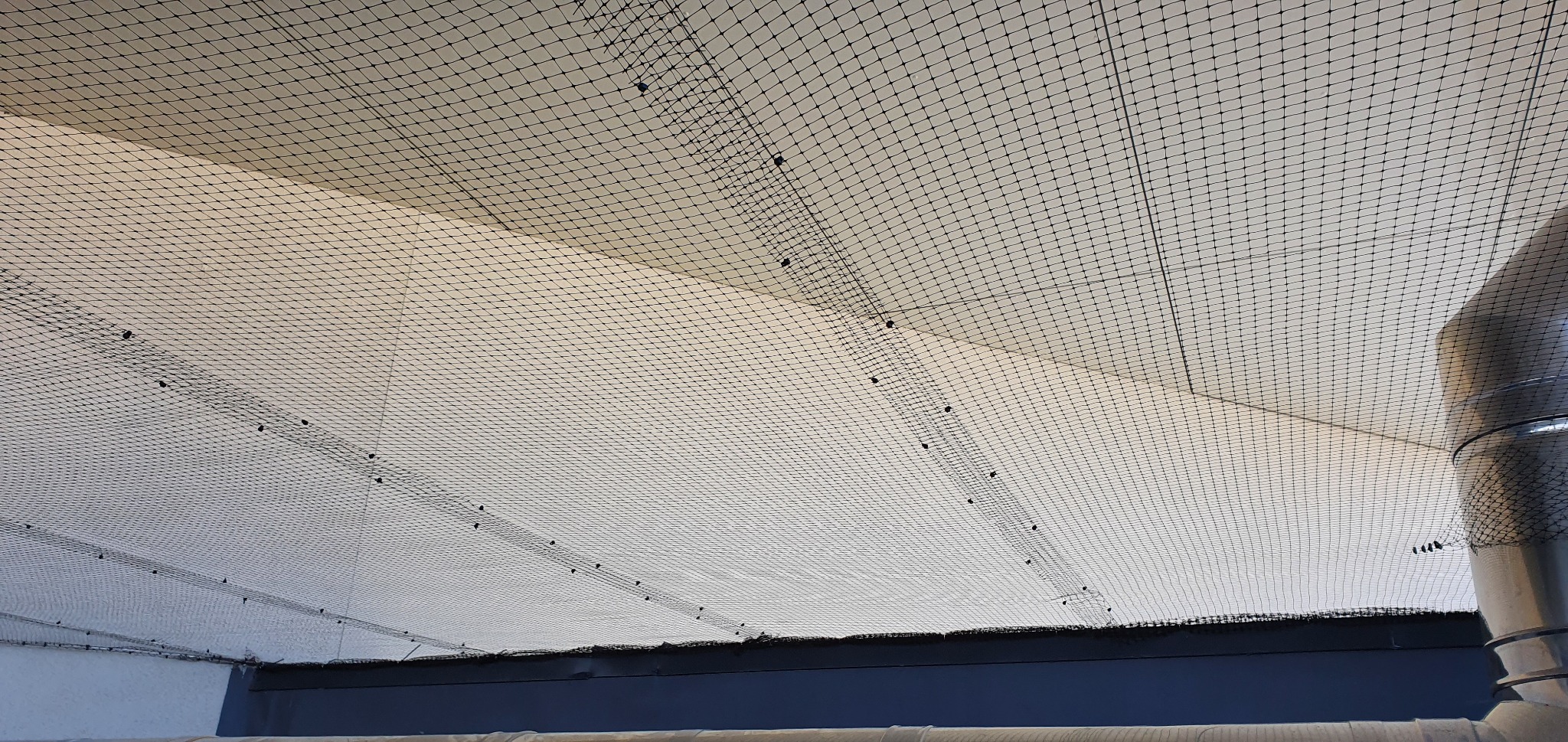 Siatka ochronna zamontowana pod sufitem, zabezpieczająca przed ptakami, widoczny fragment rury wentylacyjnej.