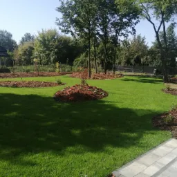 Nowo założony ogród z równo przystrzyżonym trawnikiem, rabatami wysypanymi korą i świeżo posadzonymi młodymi drzewkami w słoneczny dzień.