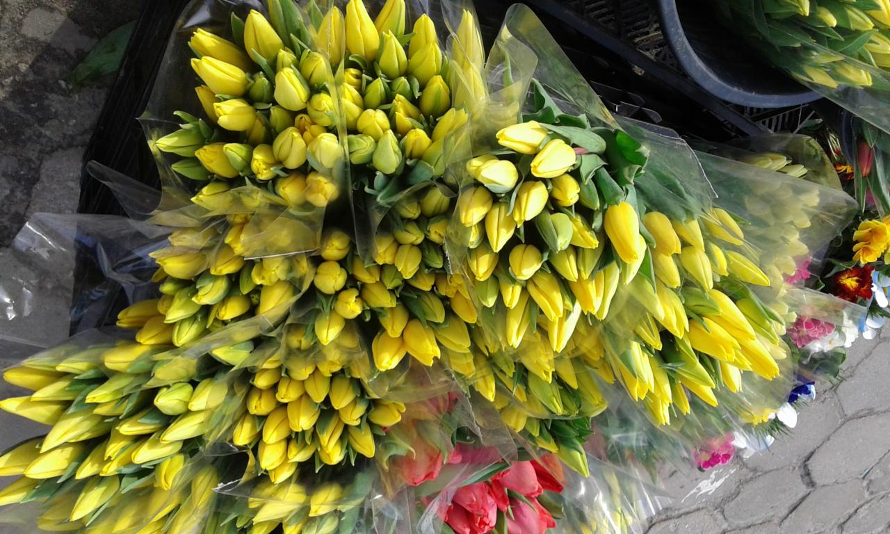 Stoisko z bukietami żółtych tulipanów w przezroczystym opakowaniu, widoczne również inne kwiaty w tle.