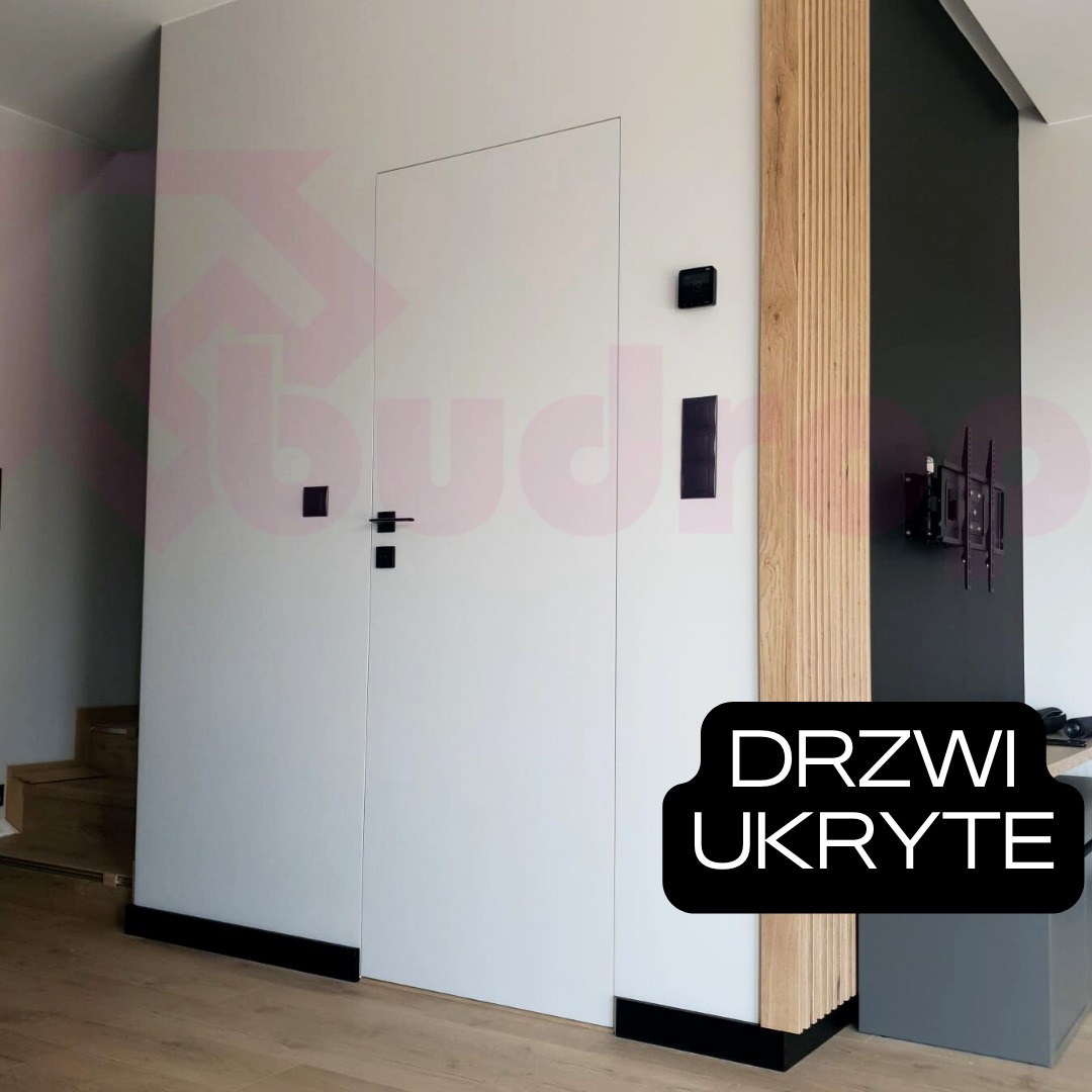 Białe drzwi ukryte w ścianie, z czarną klamką i listwami przypodłogowymi, panel dekoracyjny z drewna i czarna ściana w tle, minimalistyczny design.