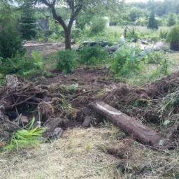 Teren po usunięciu altany i oczyszczeniu działki, widoczne pozostałości konstrukcji, korzenie i gałęzie, przygotowany grunt pod nowe nasadzenia.