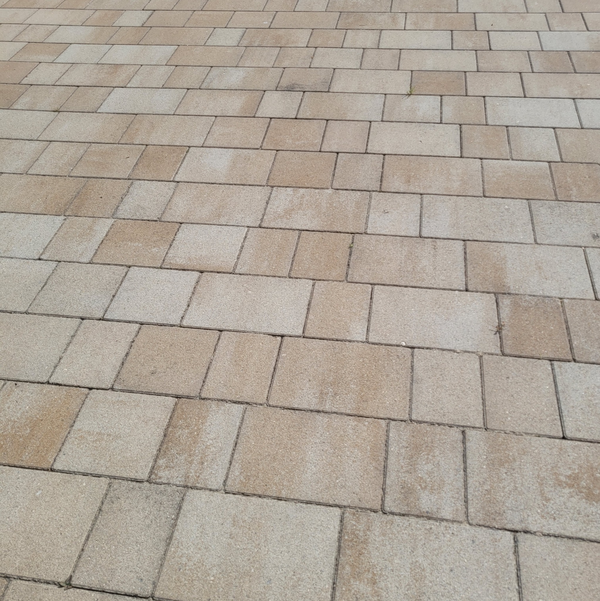 Ułożona kostka brukowa w odcieniach beżu i szarości, widziana z perspektywy lekko z góry. Widoczne drobne nierówności i naturalne przebarwienia na powierzchni kostki.