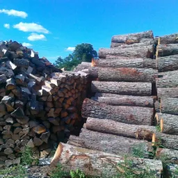 Dwa stosy drewna kominkowego: jeden z pociętych kawałków, drugi z całych bali. Błękitne niebo w tle.