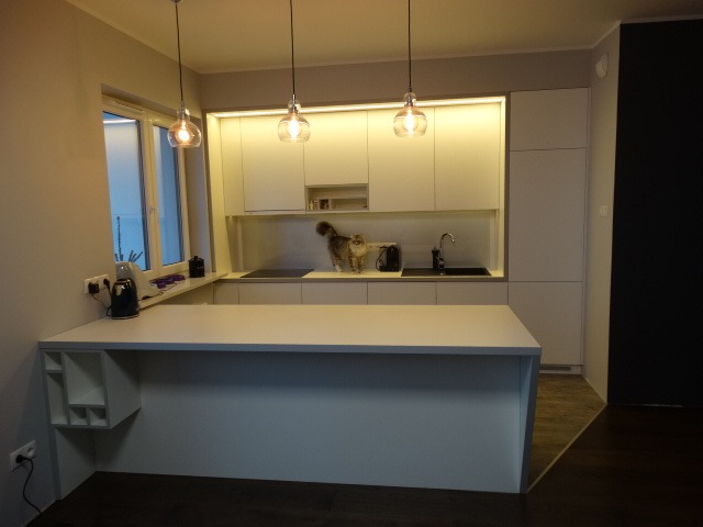 Minimalistyczna biała kuchnia z wyspą i trzema wiszącymi lampami w Warszawie, oświetlona listwą LED pod szafkami górnymi, z kotem na blacie.