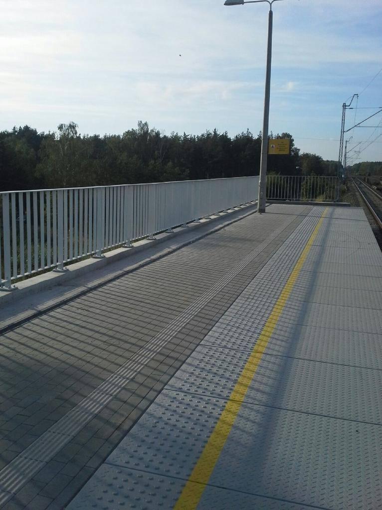 Nowoczesna platforma peronowa z białą metalową balustradą, oświetleniem i żółtą linią bezpieczeństwa, widok na tory kolejowe i zalesiony teren w tle.