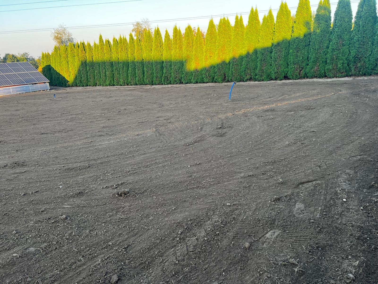 Przygotowany teren pod budowę lub ogród, z widocznymi śladami maszyn i rurką instalacyjną. W tle rząd wysokich, zielonych tuj i budynek z panelami słonecznymi.