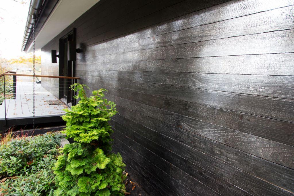 Elewacja domu z ciemnego, opalizującego drewna, widoczna z bliska, z małym iglakiem na pierwszym planie i fragmentem tarasu w tle.