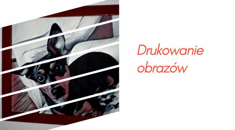 Grafika przedstawiająca psa rasy pinczer miniaturowy, z efektem artystycznym, umieszczona na białym tle z napisem 'Drukowanie obrazów' po prawej stronie.