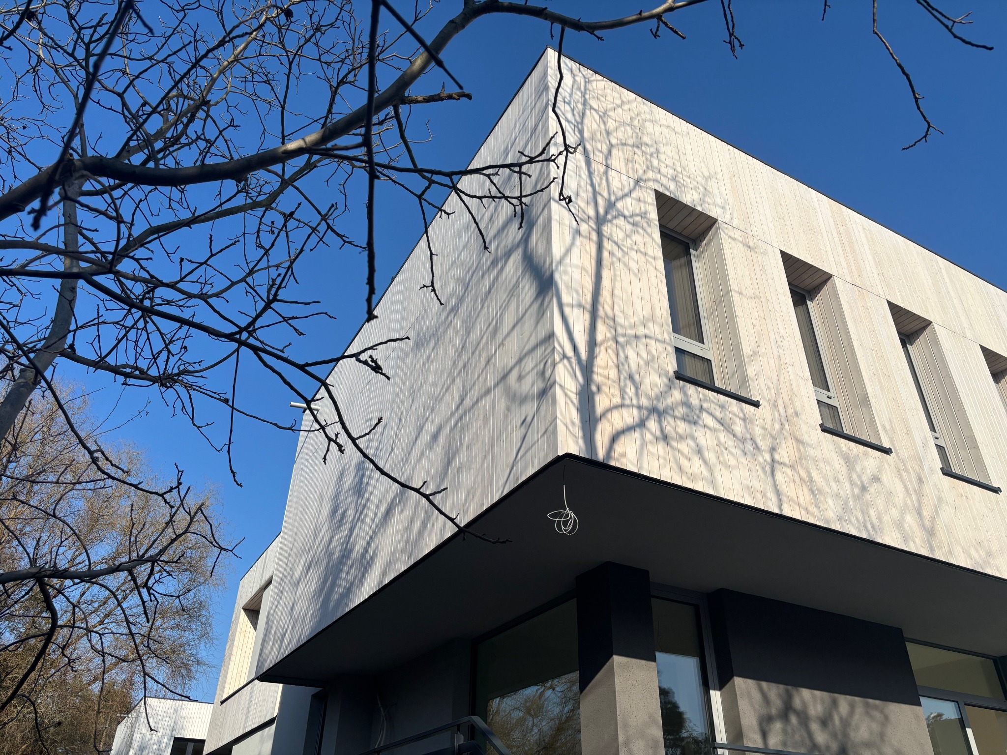 Nowoczesna elewacja budynku z jasnego drewna, widziana z dołu pod kątem. Na pierwszym planie gałęzie drzewa, w tle błękitne niebo. Minimalistyczny design.