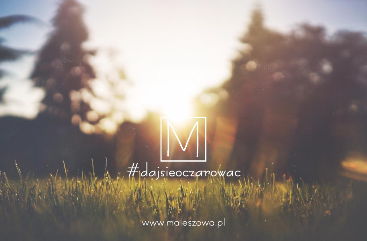 Logo z literą M w kwadracie, hashtagiem #dajsieoczarowac i adresem strony www.maleszowa.pl na tle trawy i rozmytego, słonecznego tła.