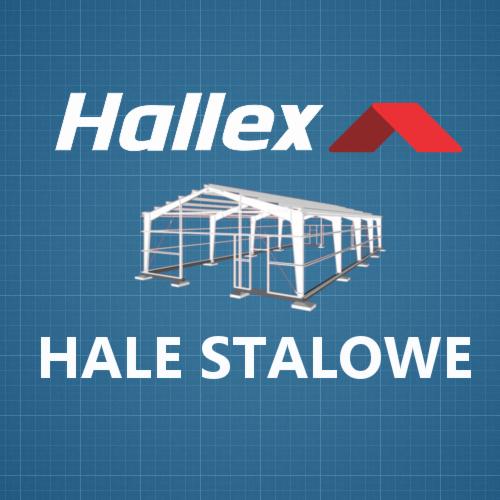 Grafika 3D hali stalowej na niebieskim tle z siatką, logo Hallex z czerwonym dachem. Wizualizacja konstrukcji szkieletowej hali, prezentacja projektu.
