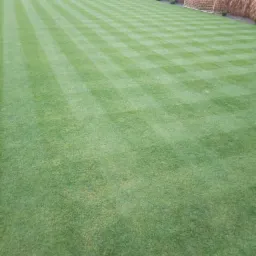 Perfekcyjnie skoszony trawnik w paski z bramkami do piłki nożnej i ozdobnymi trawami w tle.