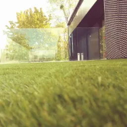 Nisko kątowe ujęcie trawnika z rolki przed nowoczesnym budynkiem z szklaną balustradą, widoczne drzewa w tle.